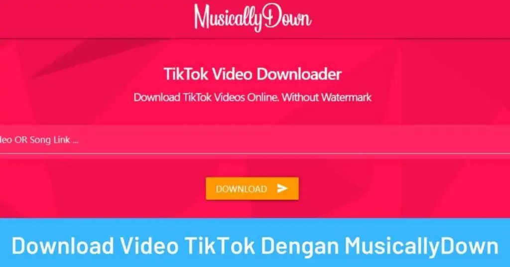Download Video TikTok Dengan MusicallyDown